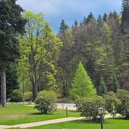 Trebla * Miedzygorze