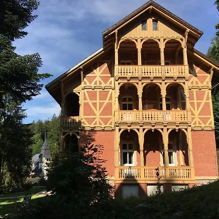 Villa Trebla Miedzygorze