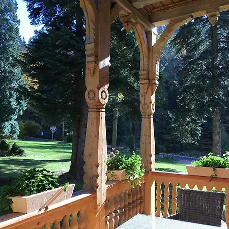 Trebla * Miedzygorze