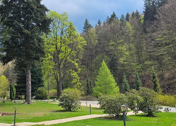 Trebla * Мендзыгуже