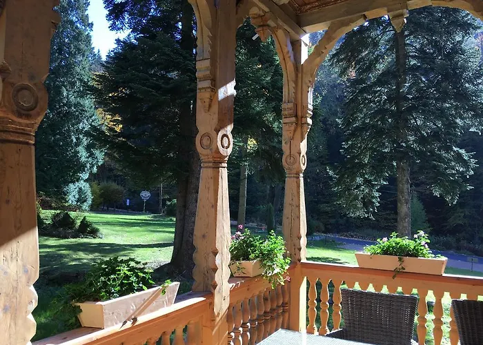 Trebla * Мендзыгуже